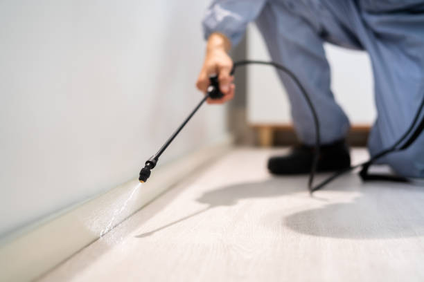Bed Bug Pre-Treatment Preparation Assessment in Belville