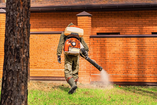 Bed Bug Clearance Verification and Documentation in Belville